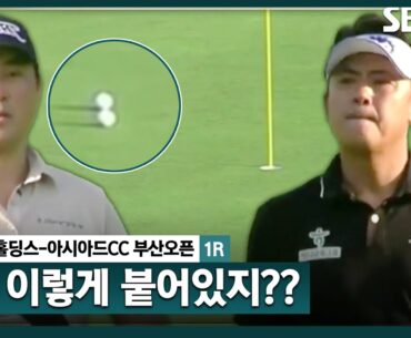 [2024 KPGA] 이 공 구분되죠?? 나란히 붙어 있는 공! 나란히 버디_백송홀딩스-아시아드CC 부산오픈 1R