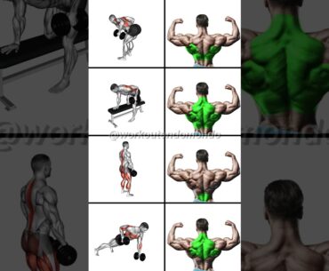 STRONGER Back with DUMBBELLS: Best Dumbbell Back Workout!