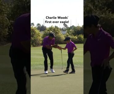 Tiger and Charlie are ELECTRIC 🔥