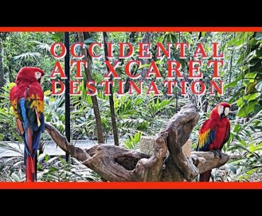 Occidental at Xcaret Destination - Perfect Family Resort!