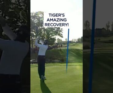 Tiger Woods' INCREDIBLE save! 😱