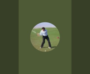 Count Yogi Golf is live at Griffith Park!