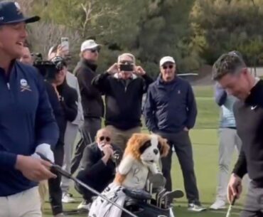 Rory McIlroy brutally trolled by Bryson DeChambeau over heartbreaking US Open collapse