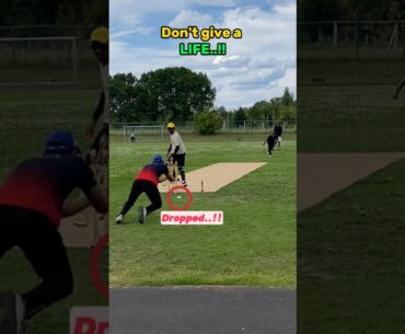 EP-1: Don’t give a LIFE!! | Cricket in Germany #cricket #best #sports #cricketshorts #highlights