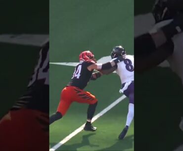 #isaiahlikely was down there somewhere 😭 #lamarjackson #baltimore #ravens #nfl