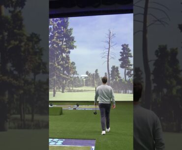 The screen at TGL is no joke. 🤯  #golf #shorts #tgl #simgolf