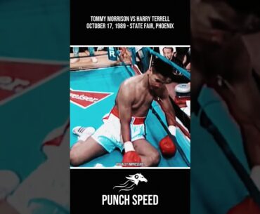 One of Morrison's Best Knockouts | Tommy Morrison Vs Harry Terrell