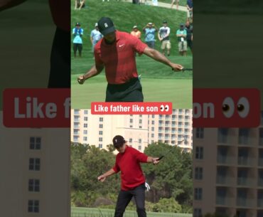 The resemblance between Charlie and Tiger Woods is uncanny 👀