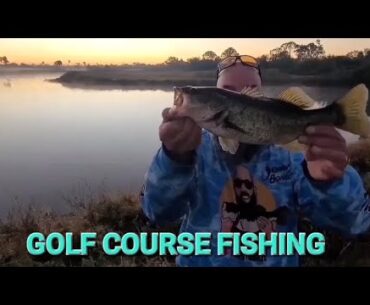 CLOSED GOLF COURSE FISHING!! BUZZBAIT!! #bassfishing #fishing