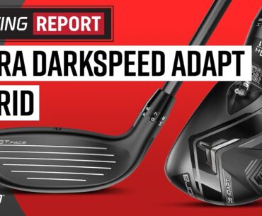Cobra DS-ADAPT Hybrid | The Swing Report