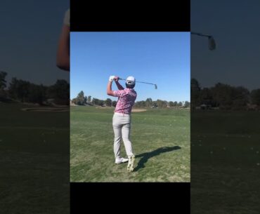 清水大成​ Taisei Shimizu #golf #綺麗なスイング #golfswing #美しいスイング #ゴルフ #美スイング #golfer #ゴルフ練習動画 #golftips
