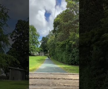 Une belle journée au Gribblehirst Park d’Auckland. Partie 2 🇳🇿