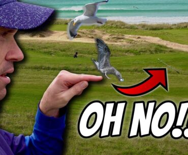 Newquay Golf Club | Shambles Golf Part 3