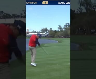 Zach Johnson did it AGAIN🤦‍♂️