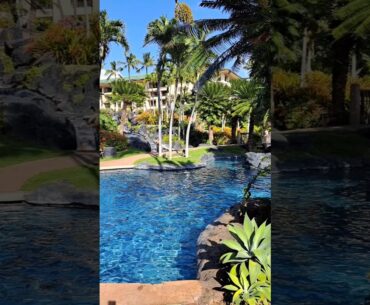 Hyatt  "Christmas" on Shipwreck Beach on kauai