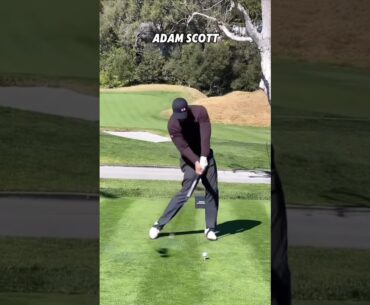 The Best Golf Driver Swing on PGA Tour