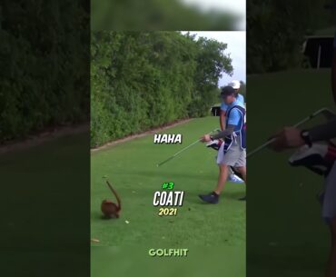 Animal Golf Fails🤣 | Part 2