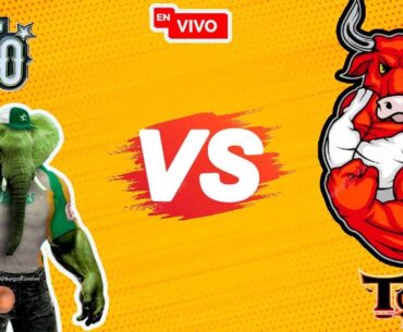 Toros del Este vs Estrellas Orientales  en vivo 28/11/24