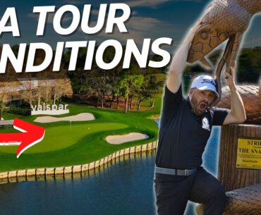 We Played Copperhead Golf Course in PGA TOUR Conditions | Golficity Match | Part 1
