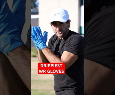 DRIPPIEST WR GLOVES
