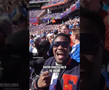 A Beautiful Day In The Swamp