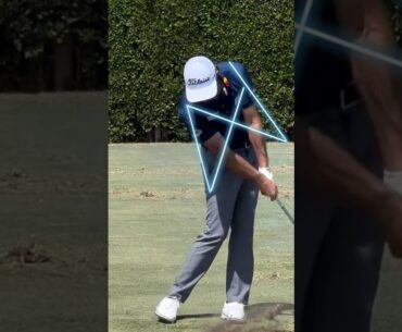 ⌛️⌛️⌛️ max homa swing analysis-두 팔이 정말 밀착해서 움직인다