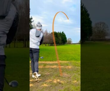 Drive For Show, Putt For Dough? #golf #golfswing #golfer