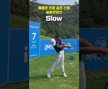 욕심 버리고~!! 배용준 프로 드라이버 스윙 슬로우 모션