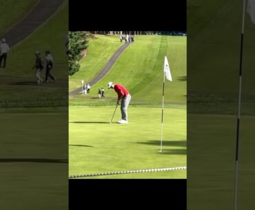 Collin Morikawa コリン・モリカワ #golf #美しいスイング #綺麗なスイング #美しいスイング #綺麗なスイング #golfswing