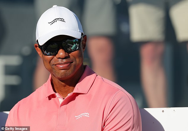 Woods (pictured at the Hero World Challenge) will compete in the league in the New Year