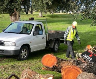 News, results from Gisborne and East Coast golf clubs