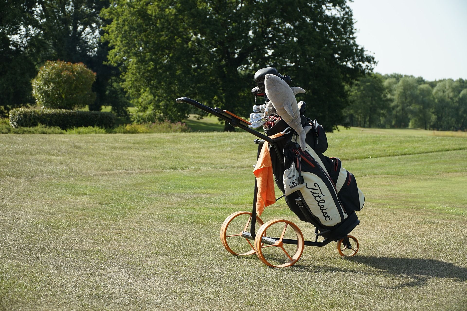 golf club storage 