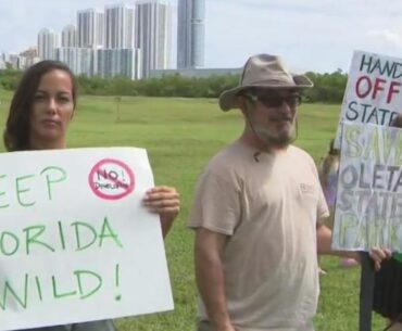 Florida senator files bill to keep pickleball courts, golf courses out of state parks