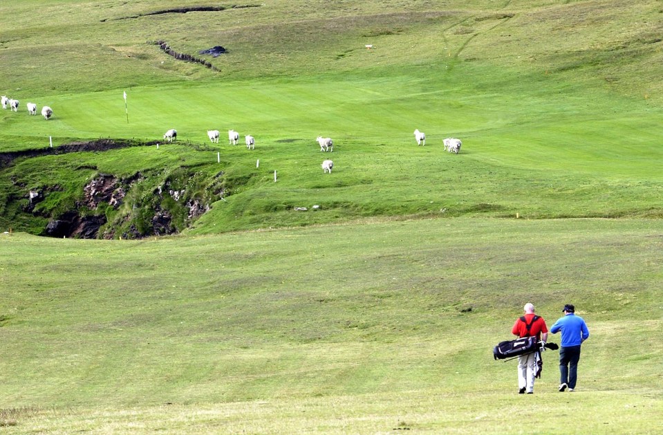 The remote nature of the club means sheep often graze the fairways