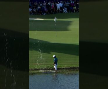 Akshay Bhatia from the WATER 💧🏌️