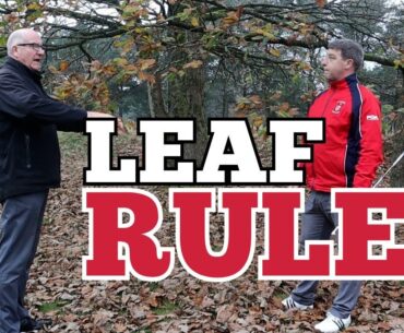 Rules of Golf - The LEAF RULE, what you need to know