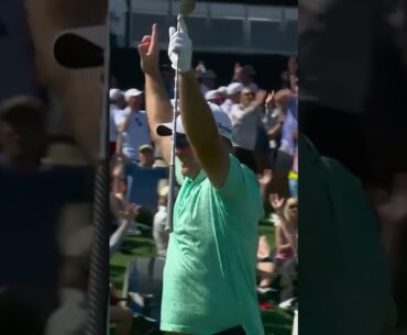 Ryan Fox Ace 🤯