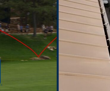 What are the ODDS?! Most unique shots of the 2024 PGA TOUR Season