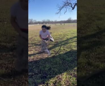 sorry belle 😭😭 || #hobbyhorse #goviral #shortsfeed #gopro #music #filter #equestrian #slay #song