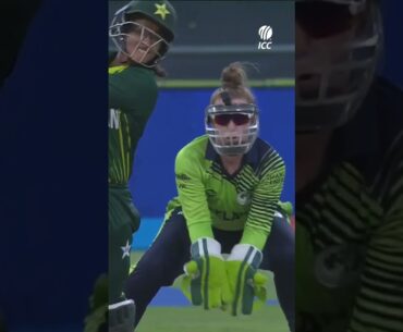 So that's where the ball went 🙃 #YTShorts #CricketShorts