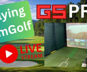Happy New Year! Lets play  Sim Golf on GS PRO