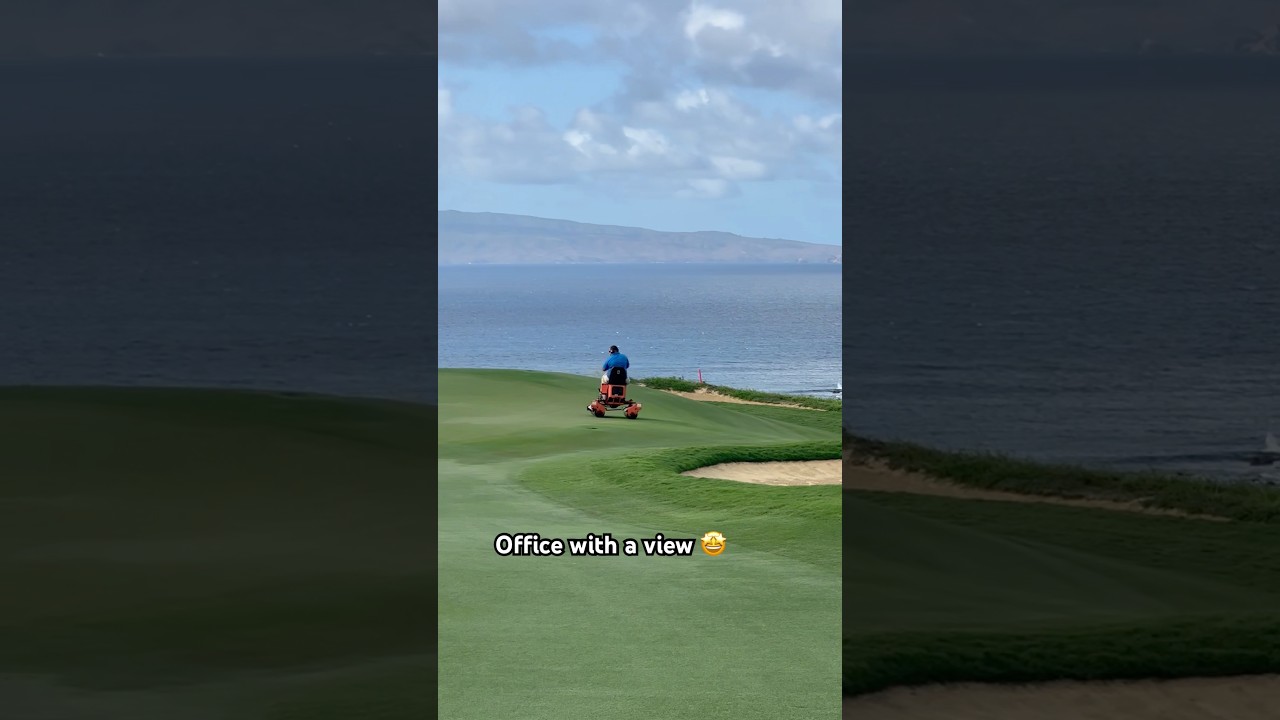 There’s worse places to work than Hawaii 🏝️ There’s worse places to work than Hawaii 🏝️