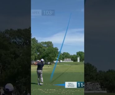 Chan Kim Crazy Hole In One 🤯