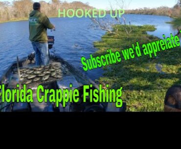 Crappie Fishing In Florida: Jigging For Specks On The ST. Johns River