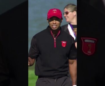 Tiger BAFFLED by hole-out! 😅