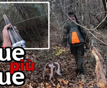 Due più Due - Caccia alla Beccaccia con Benito il Breton, Assunta La Setter. A Beccacce con i cani