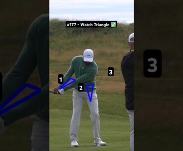 Golf Swing Basics (Tiger Woods)
