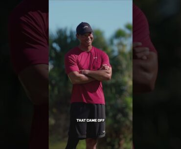 Tiger Woods liked my golf swing!