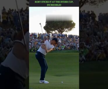 Rory Mcilroy Ryder Cup Heroics!