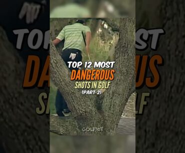 Most Dangerous Golf Shots EVER recorded
